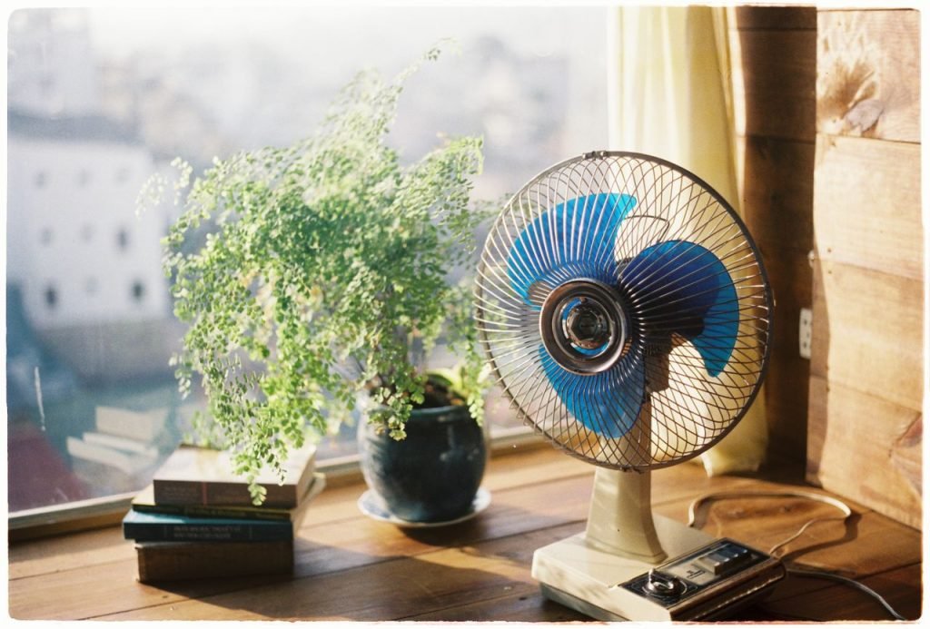 fan-and-plant-table-by-window-20780451 A sunlit room with a vintage fan, plant, and books on a wooden table.